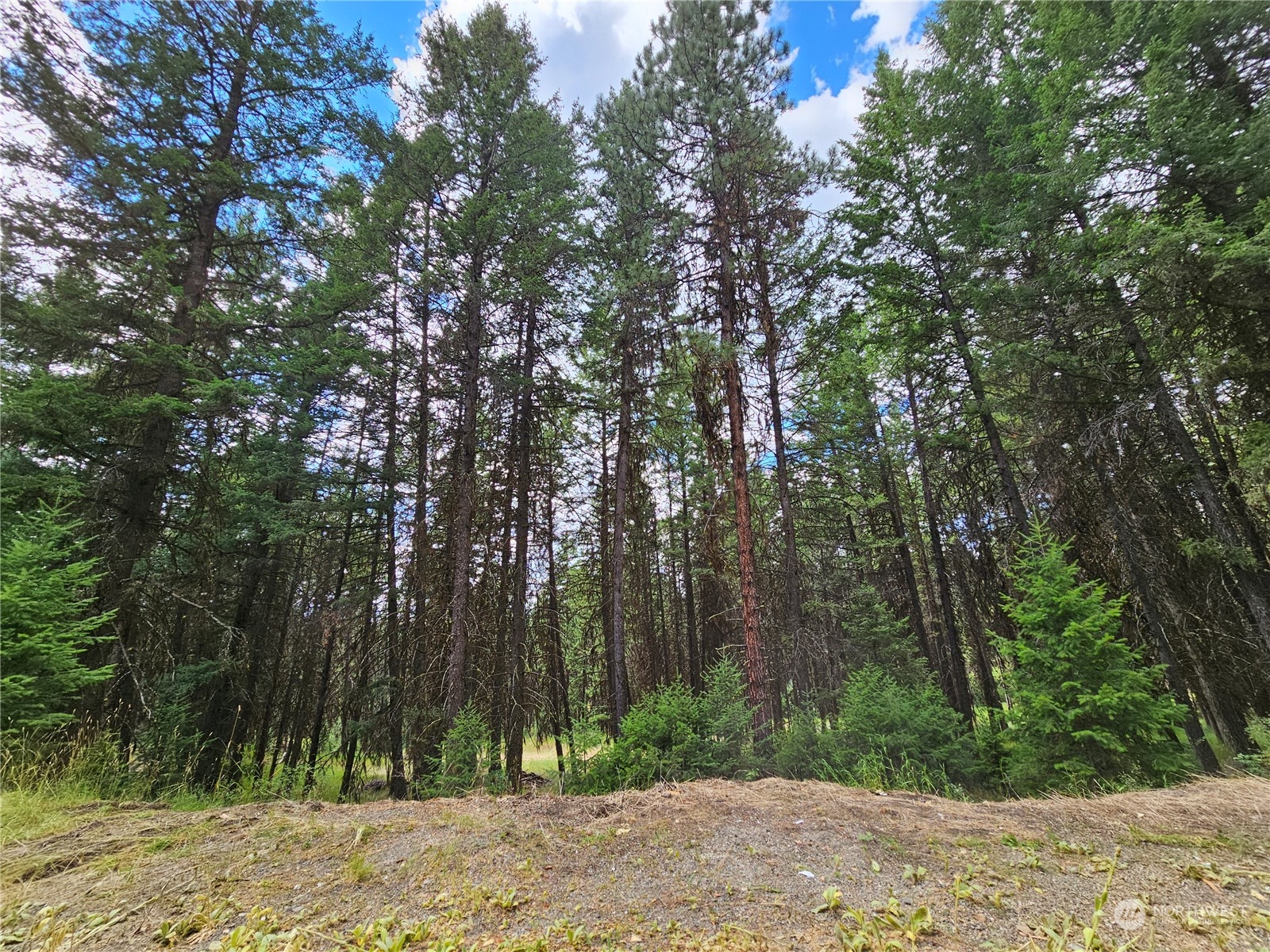 83 Spring Meadow Lane