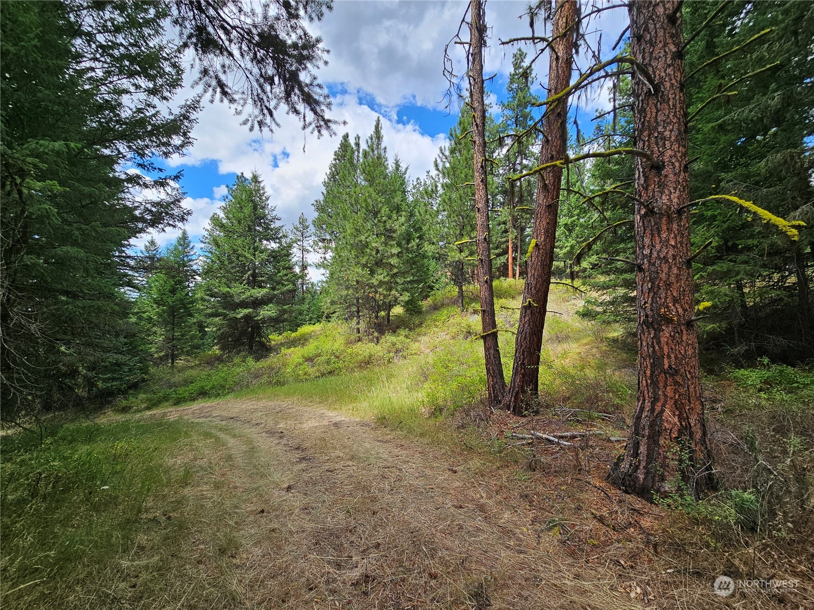 83 Spring Meadow Lane