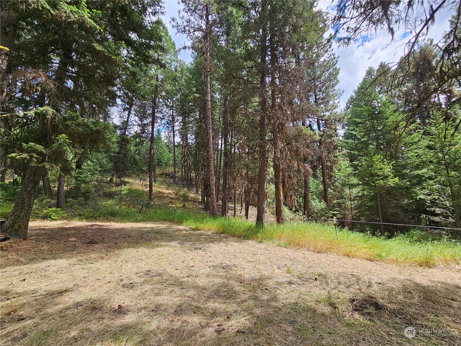 83 Spring Meadow Lane