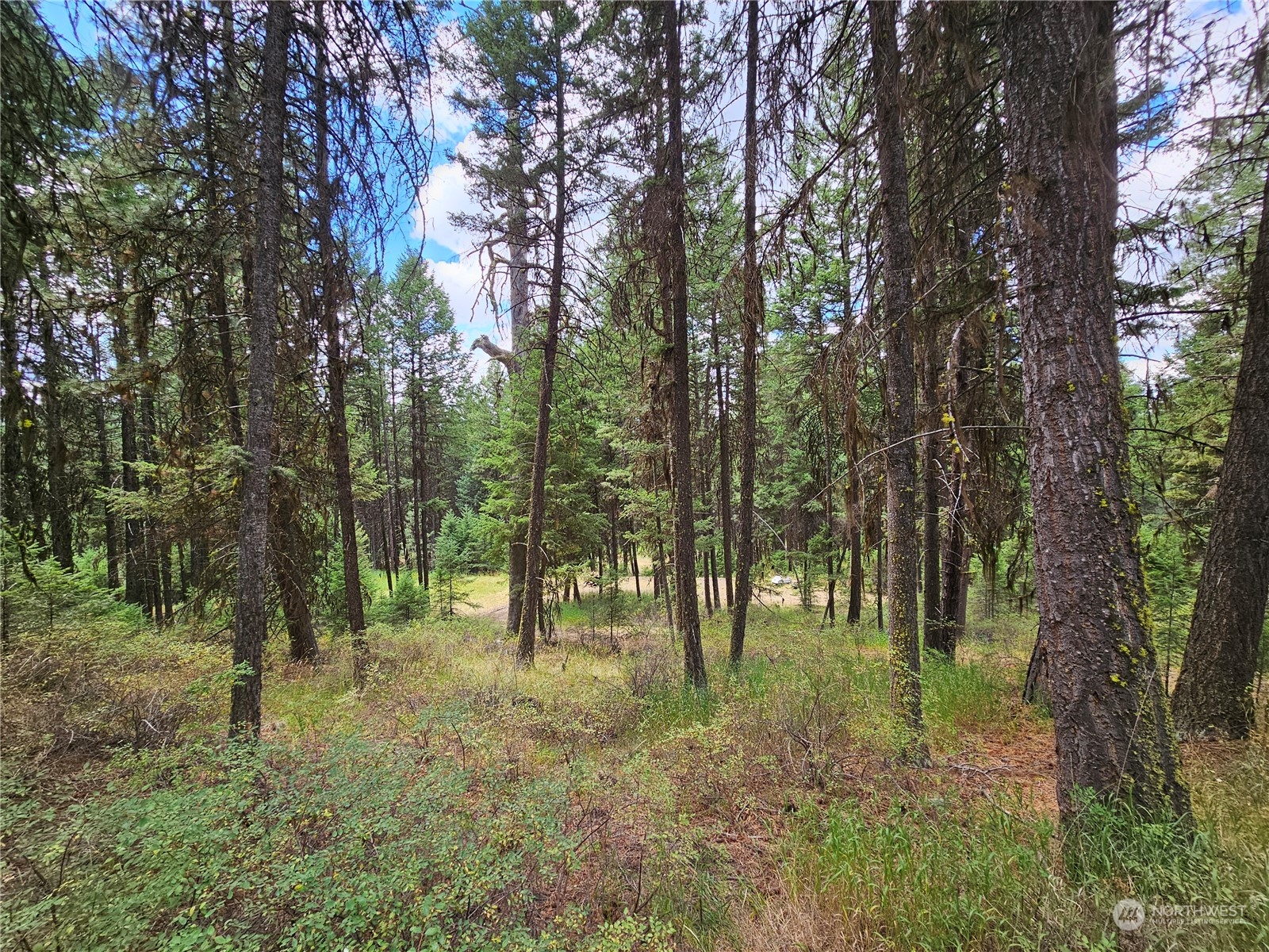 83 Spring Meadow Lane