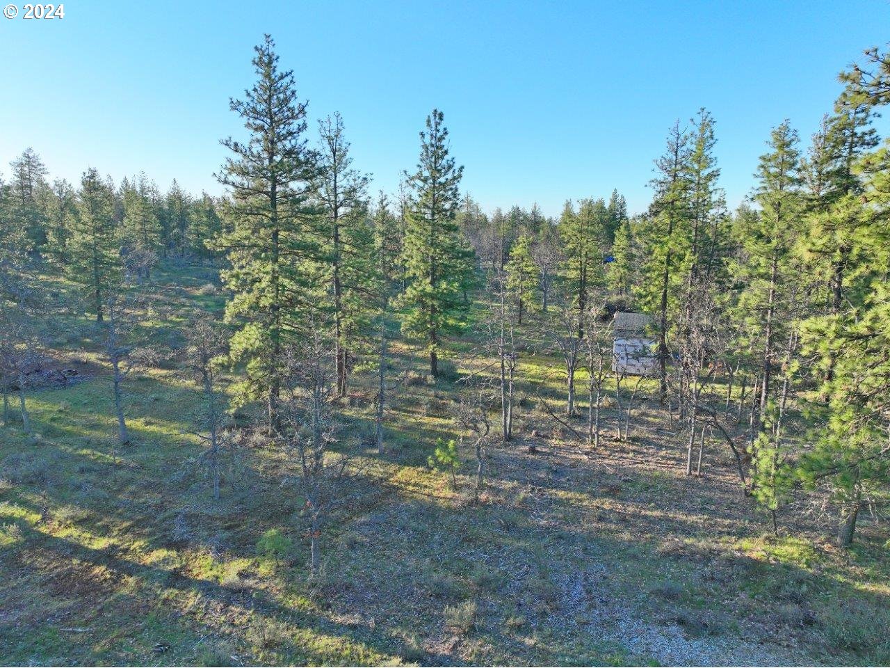 512 Cushman RD