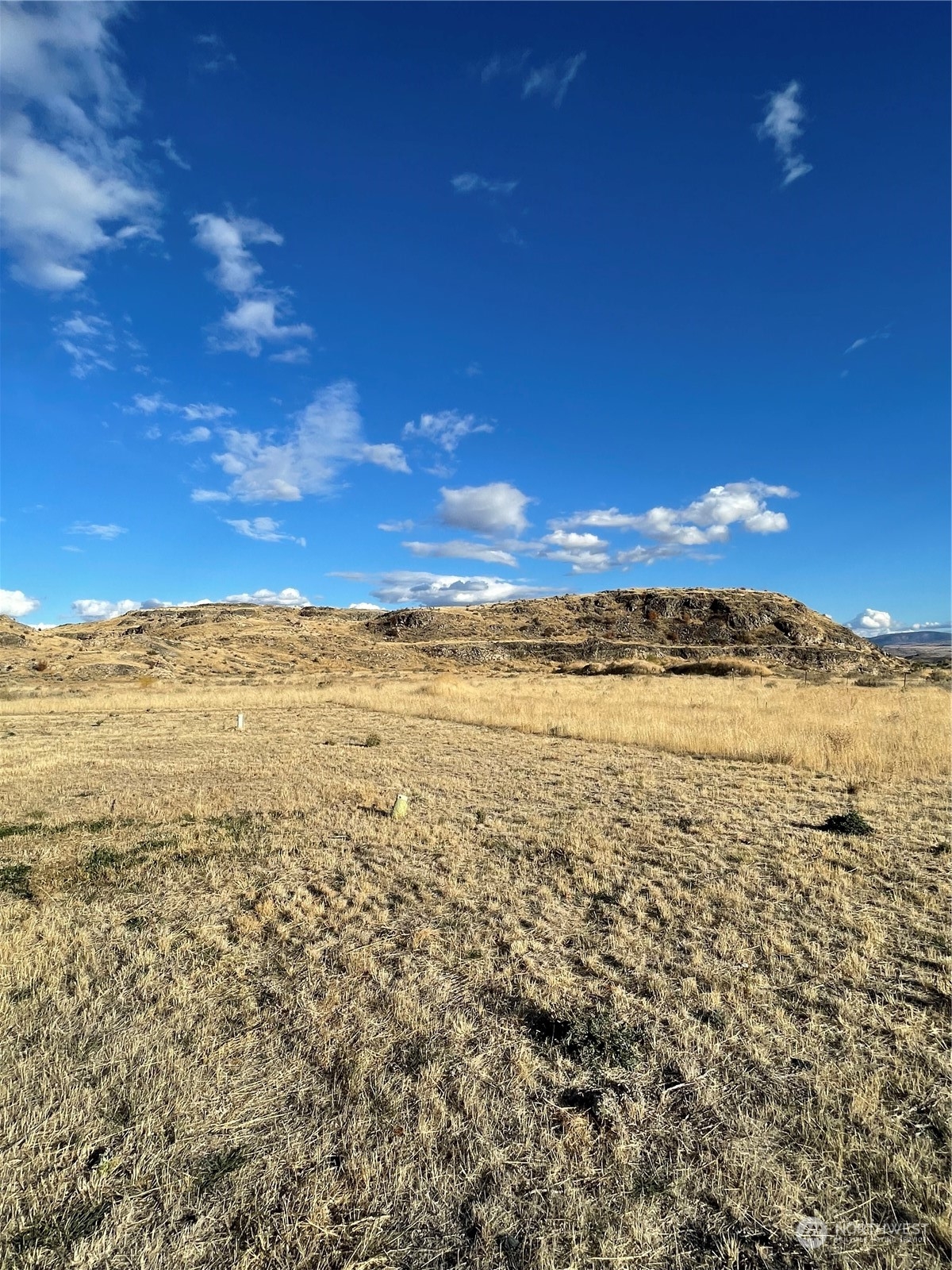 146 Riverside Cutoff Road