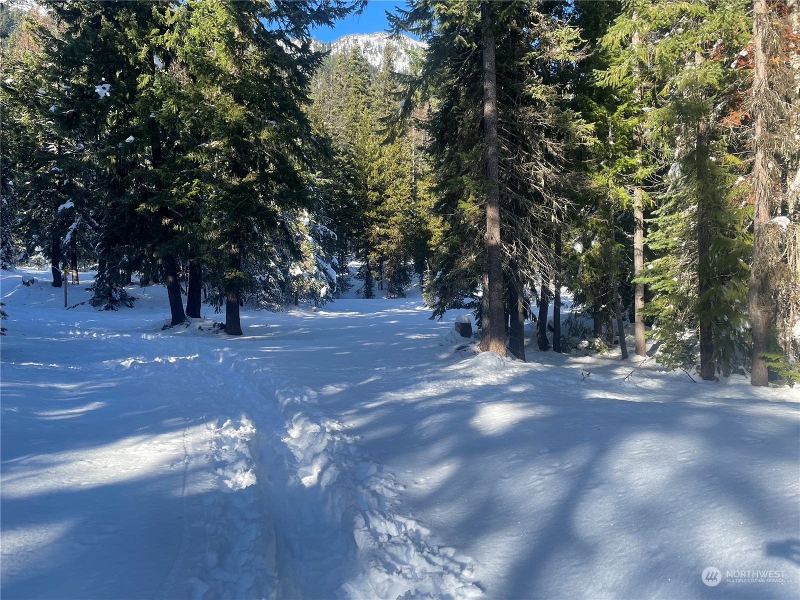 0 XX Mile 74.5 410 hwy