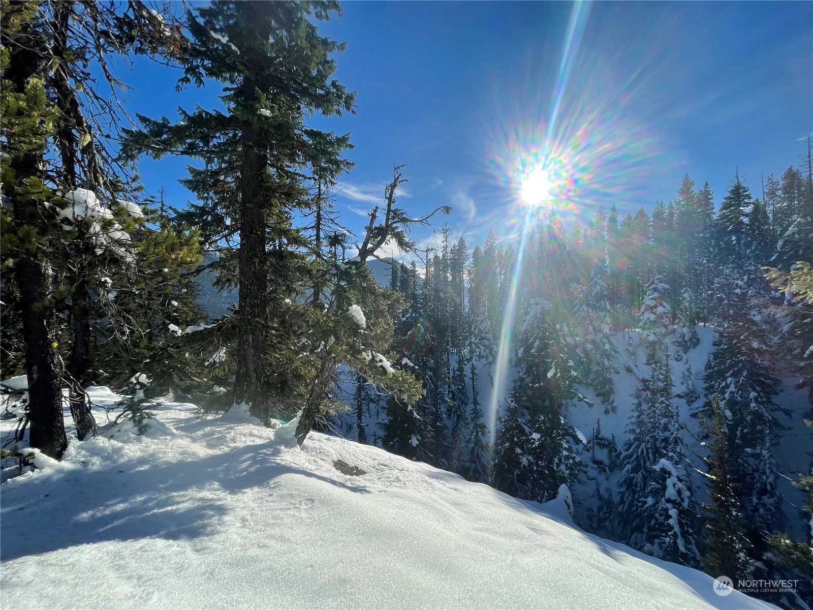 0 XX Mile 74.5 410 hwy