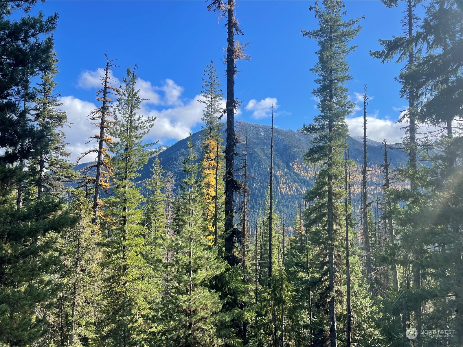 0 XX Mile 74.5 410 hwy