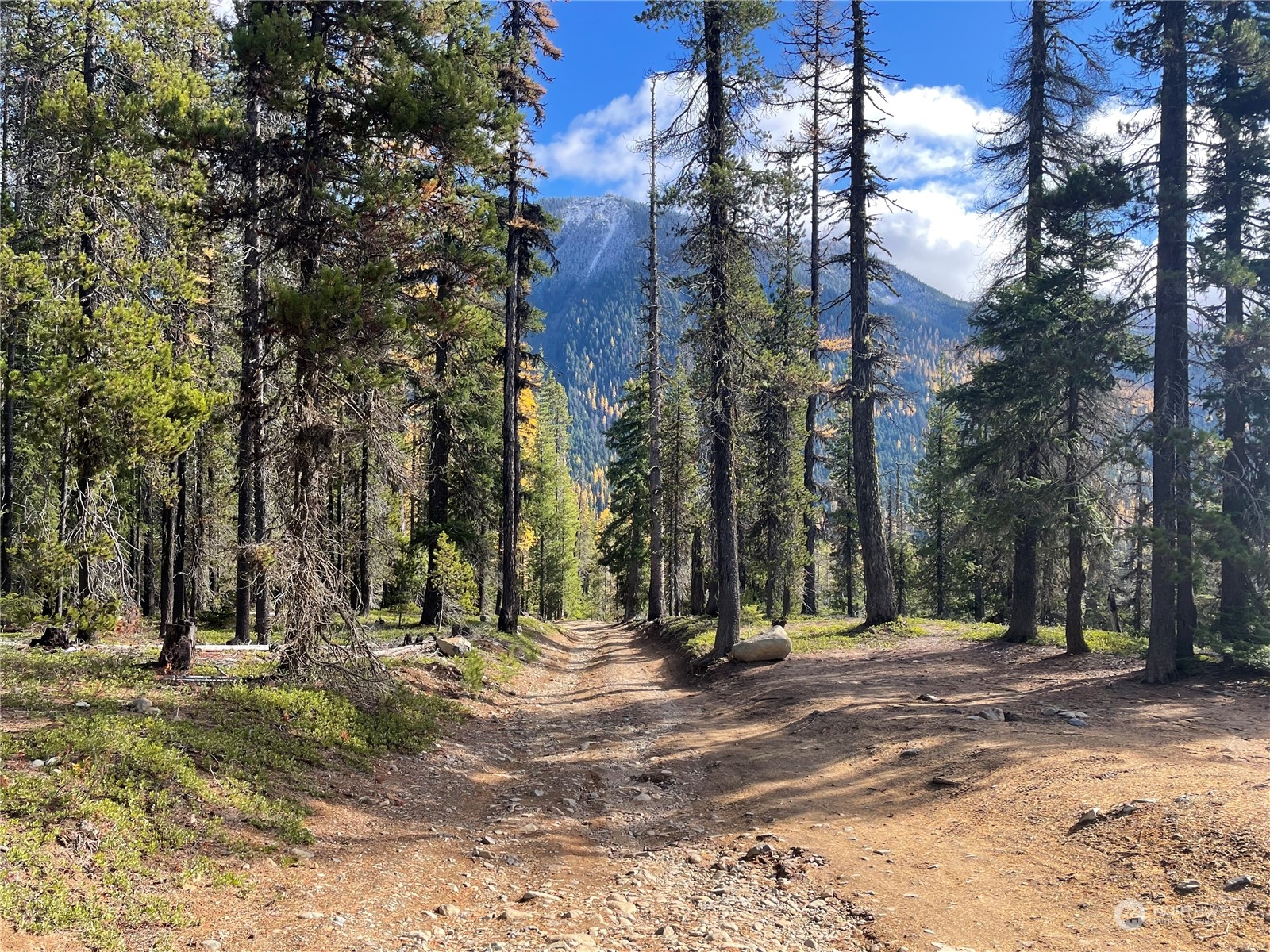 0 XX Mile 74.5 410 hwy