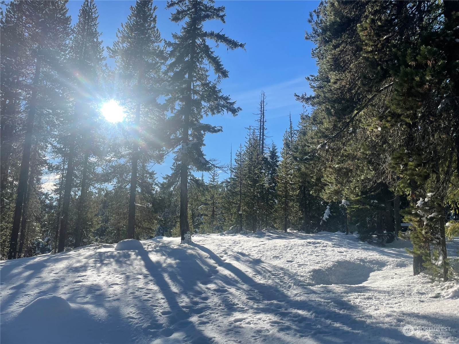 0 XX Mile 74.5 410 hwy