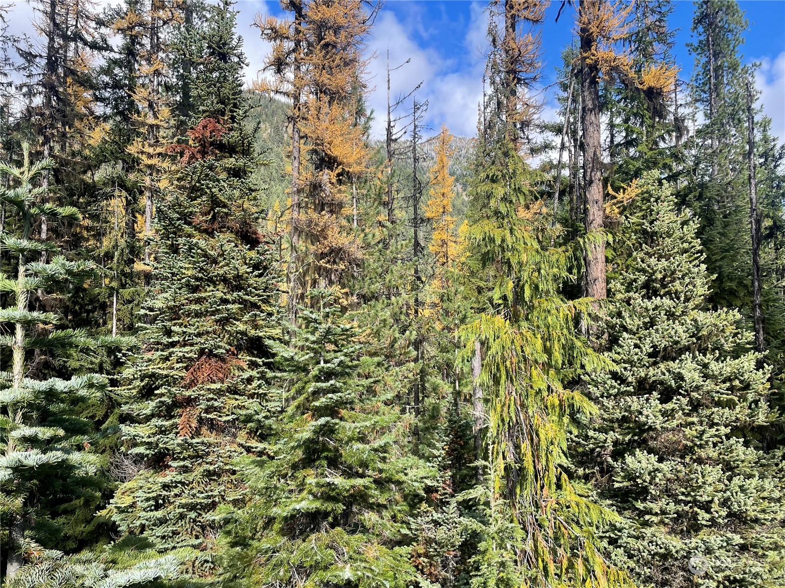 0 XX Mile 74.5 410 hwy