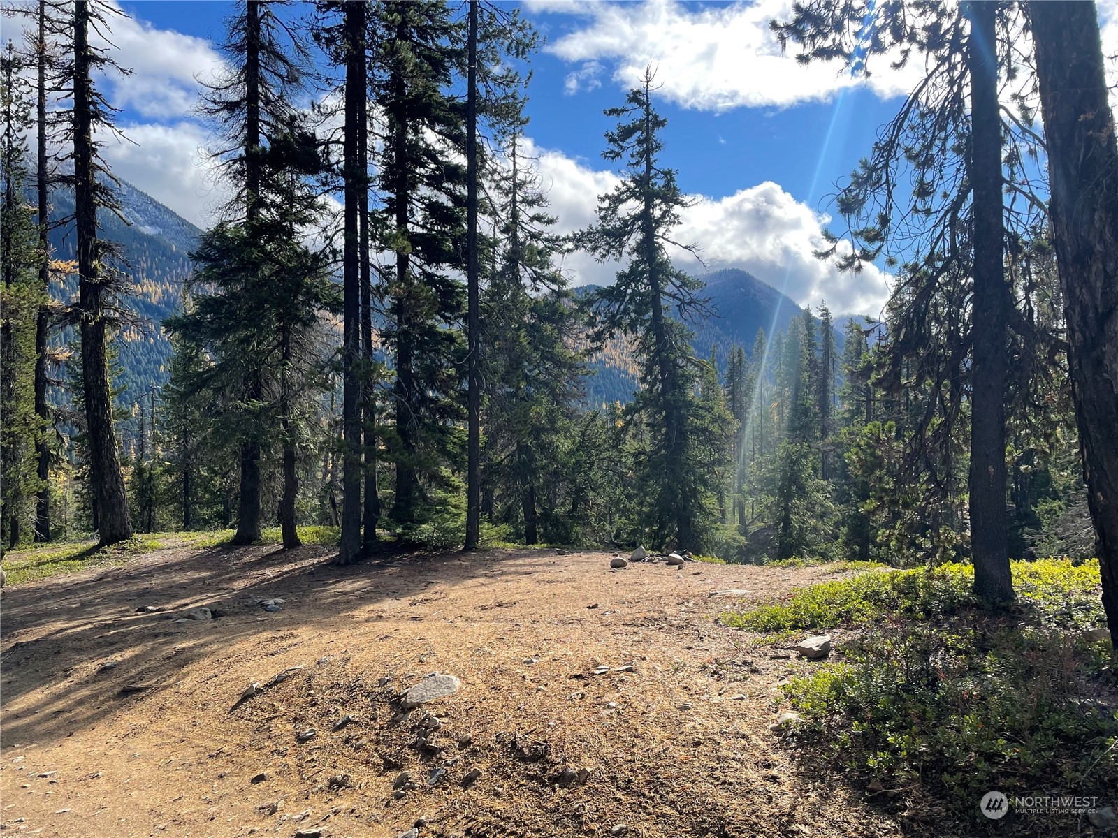 0 XX Mile 74.5 410 hwy