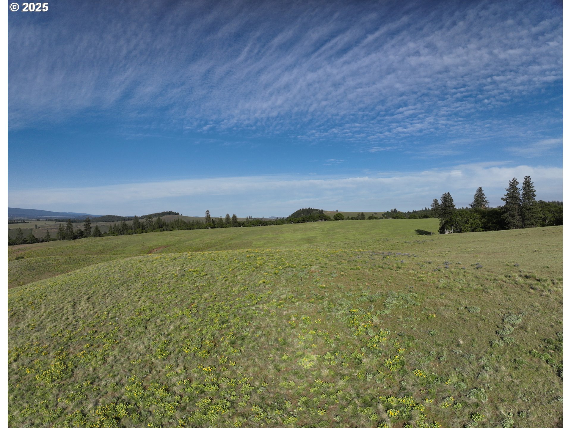 Schilling RD Lot 2