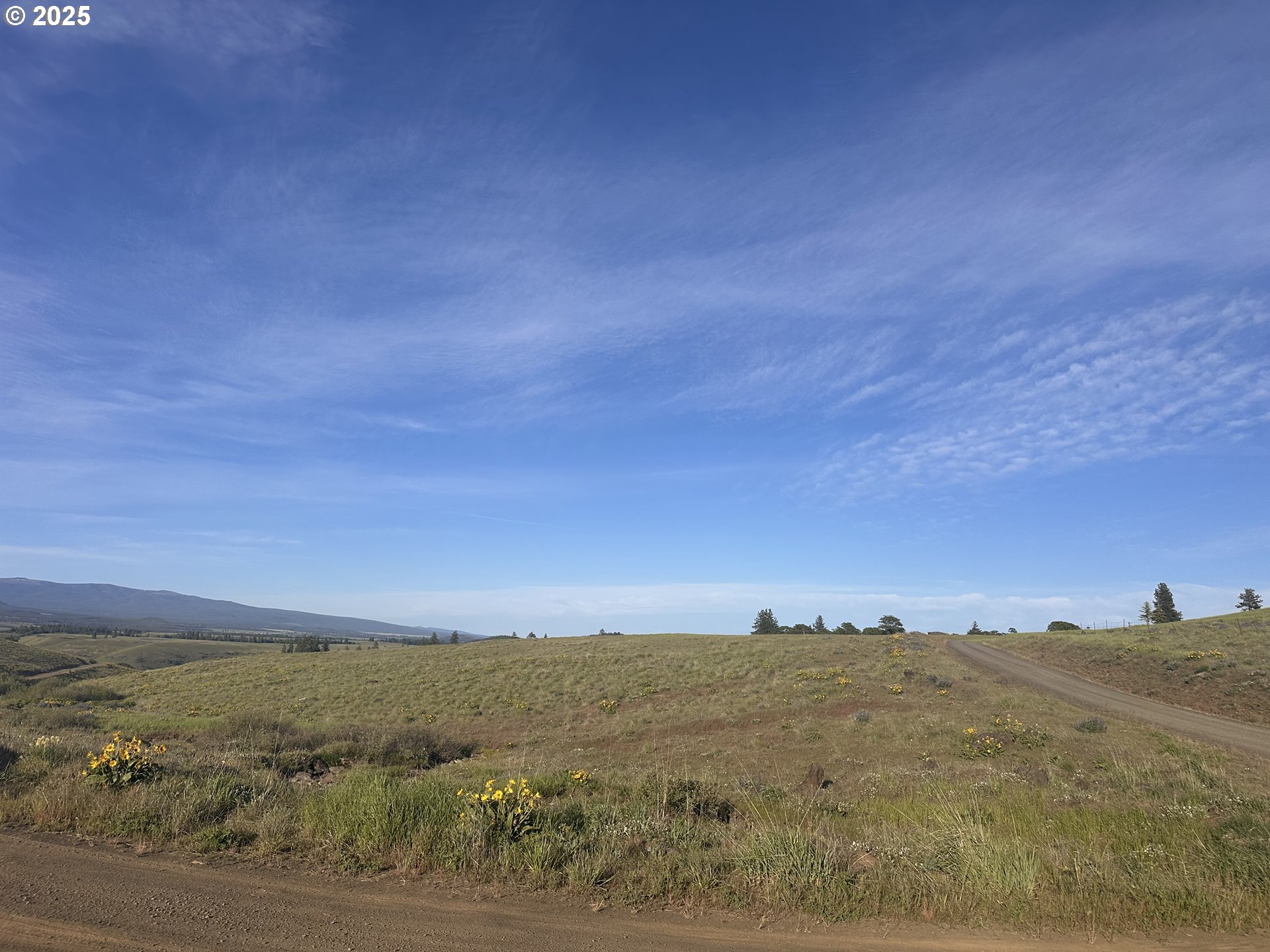 Schilling RD Lot 2