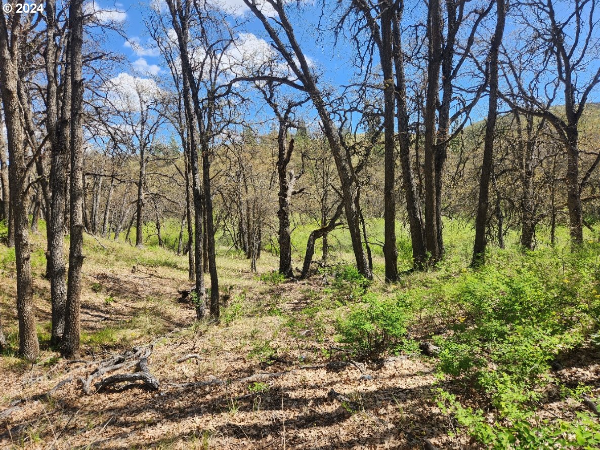 Oak Flat Road