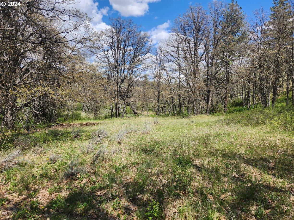 Oak Flat Road