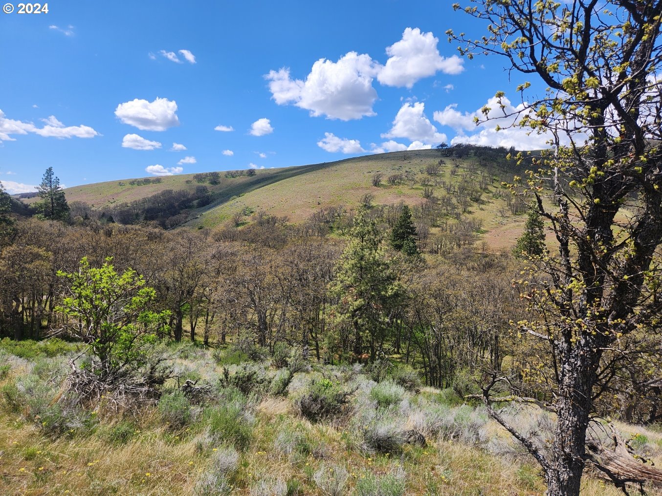 Oak Flat Road