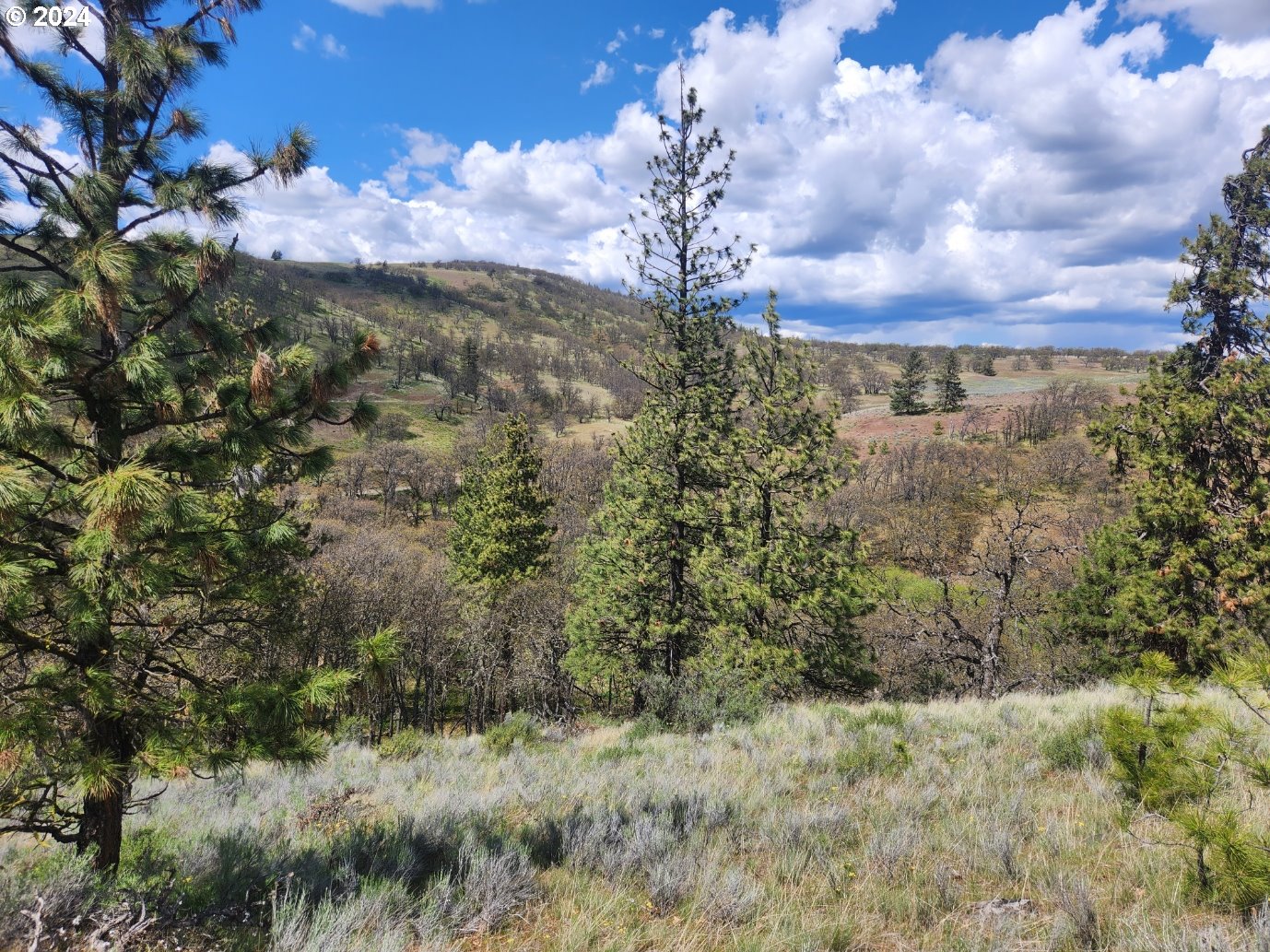 Oak Flat Road