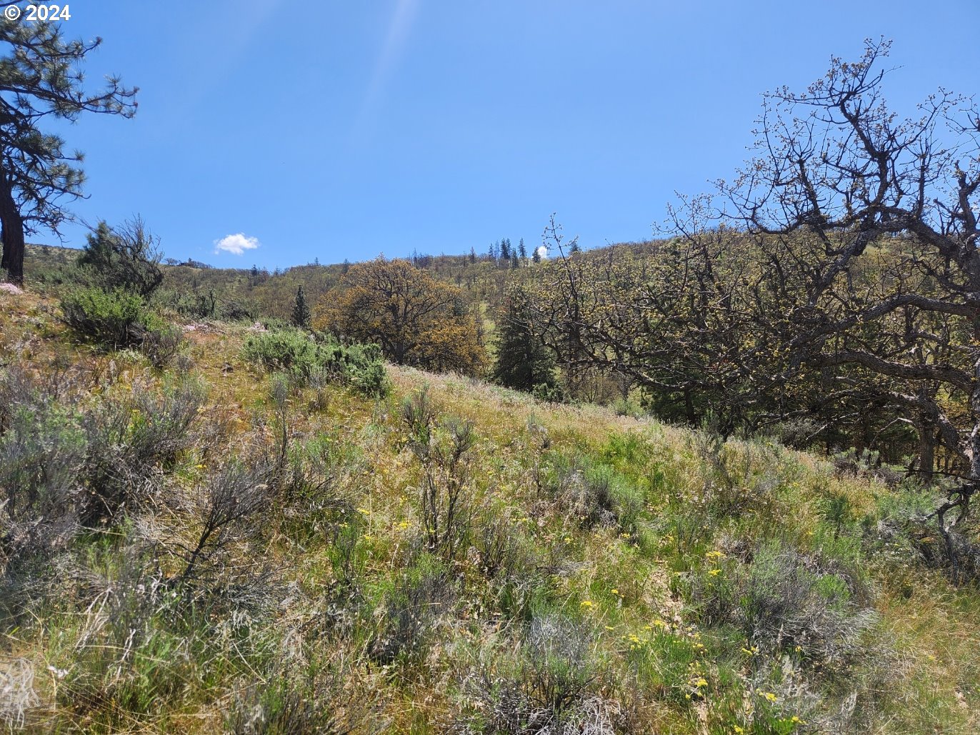Oak Flat Road