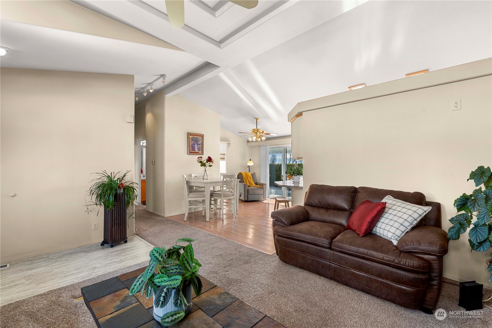 556 Canyon Drive