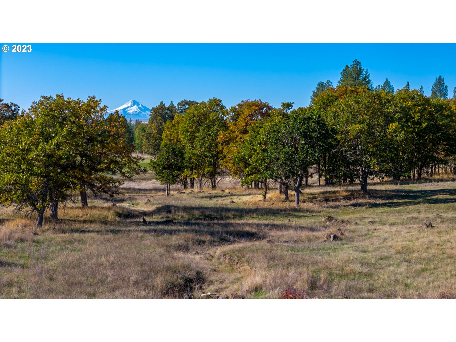 41 MOUNTAIN VIEW RANCH RD