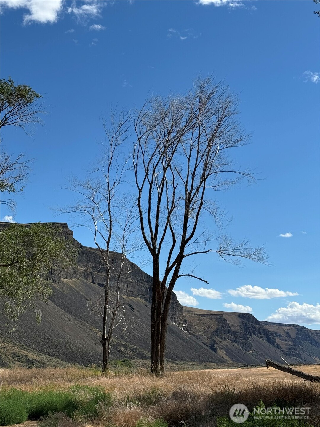 1074 Palisades Rd Lot#5