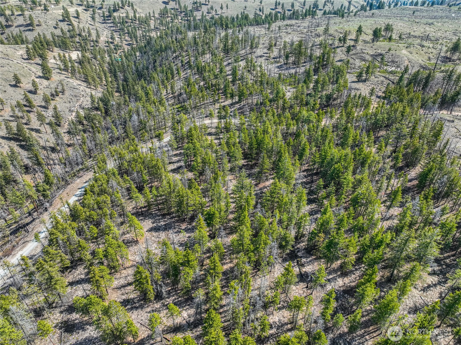 0 Evergreen Camp Rd.