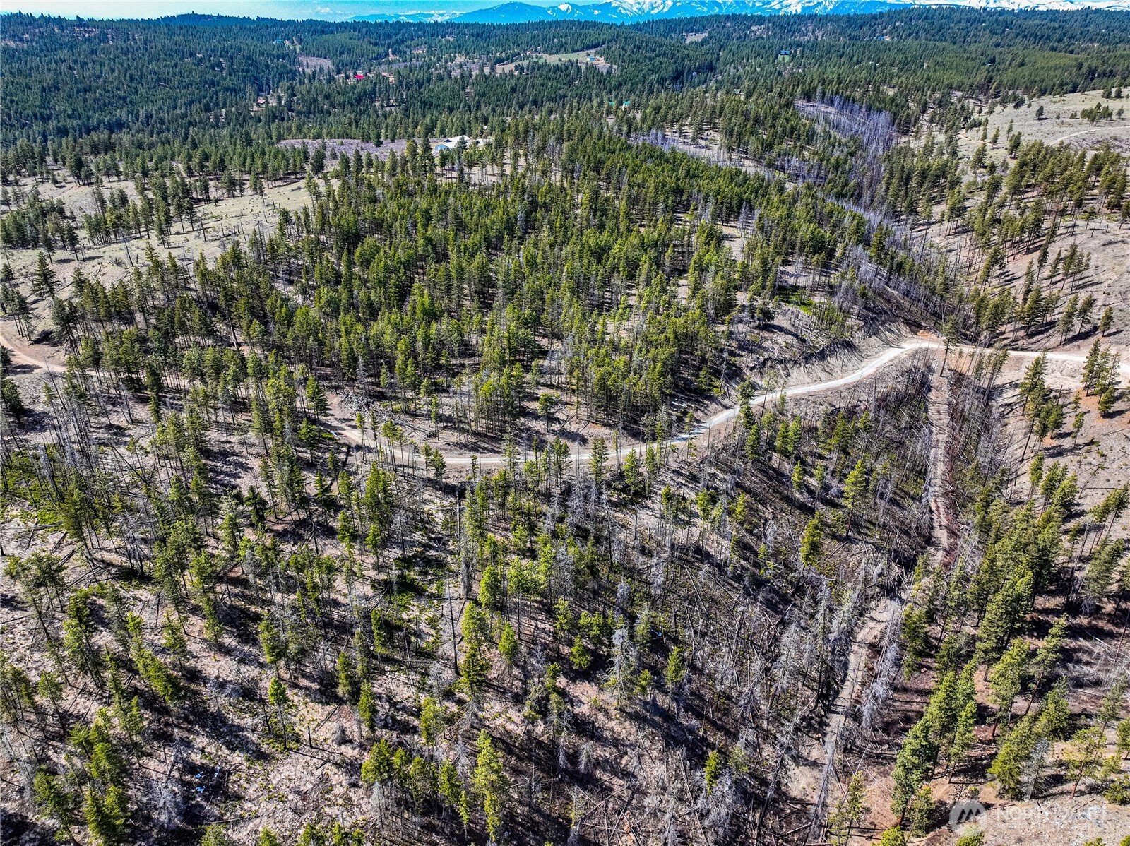 0 Evergreen Camp Rd.