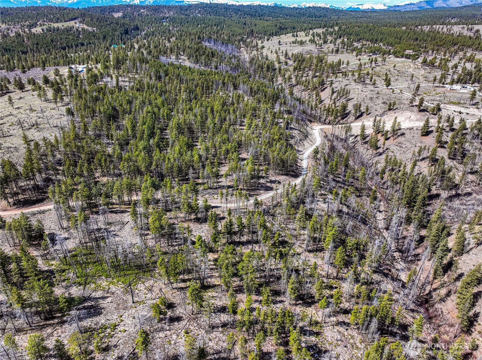 0 Evergreen Camp Rd.