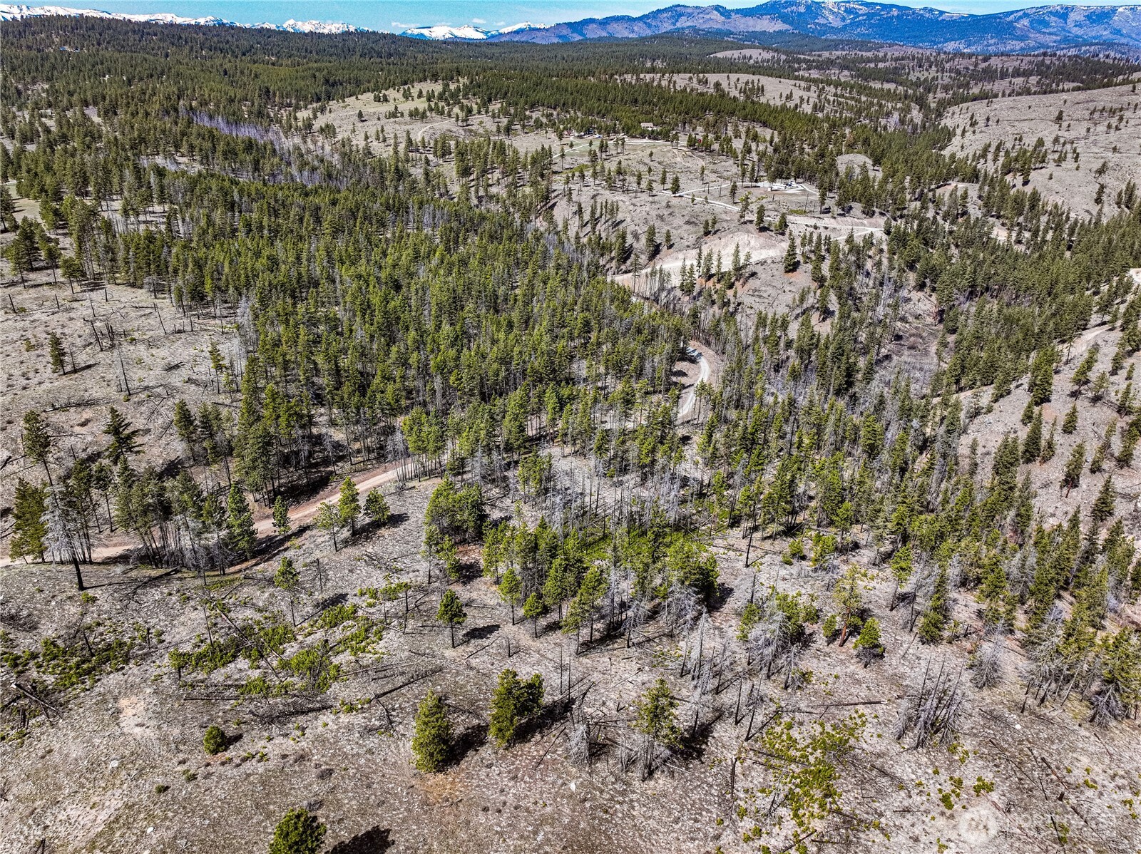 0 Evergreen Camp Rd.