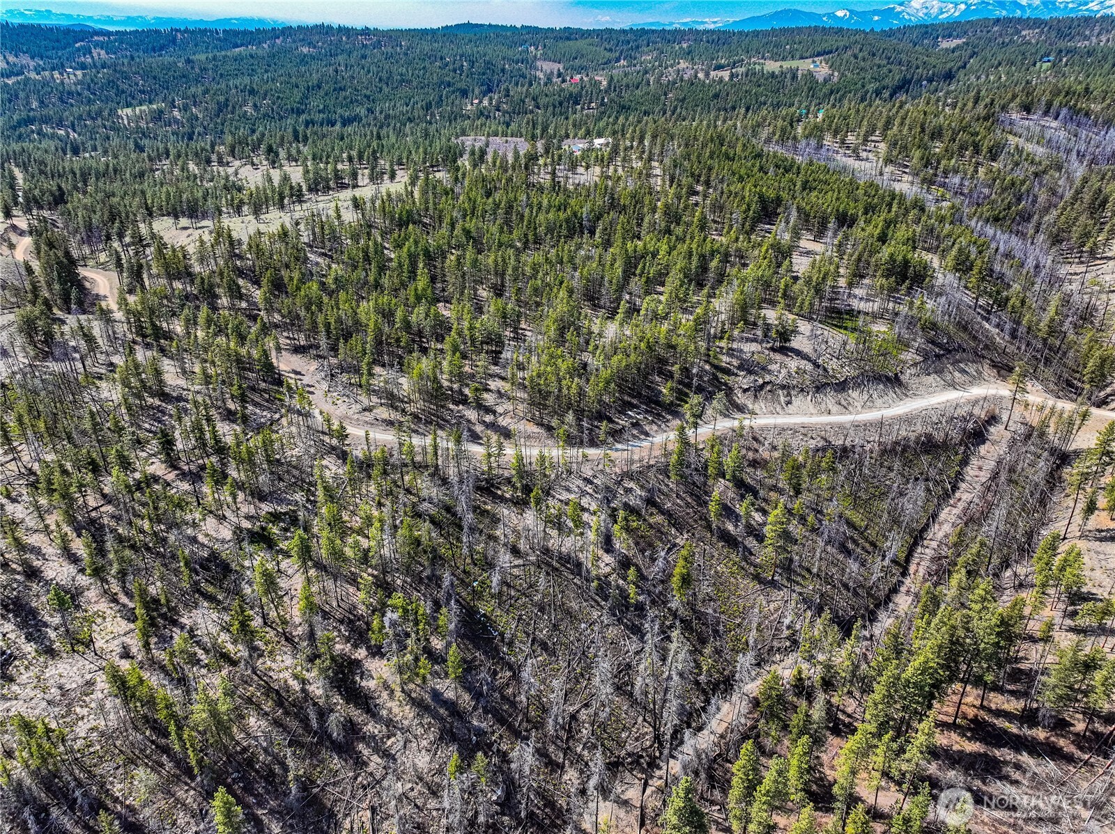 0 Evergreen Camp Rd.