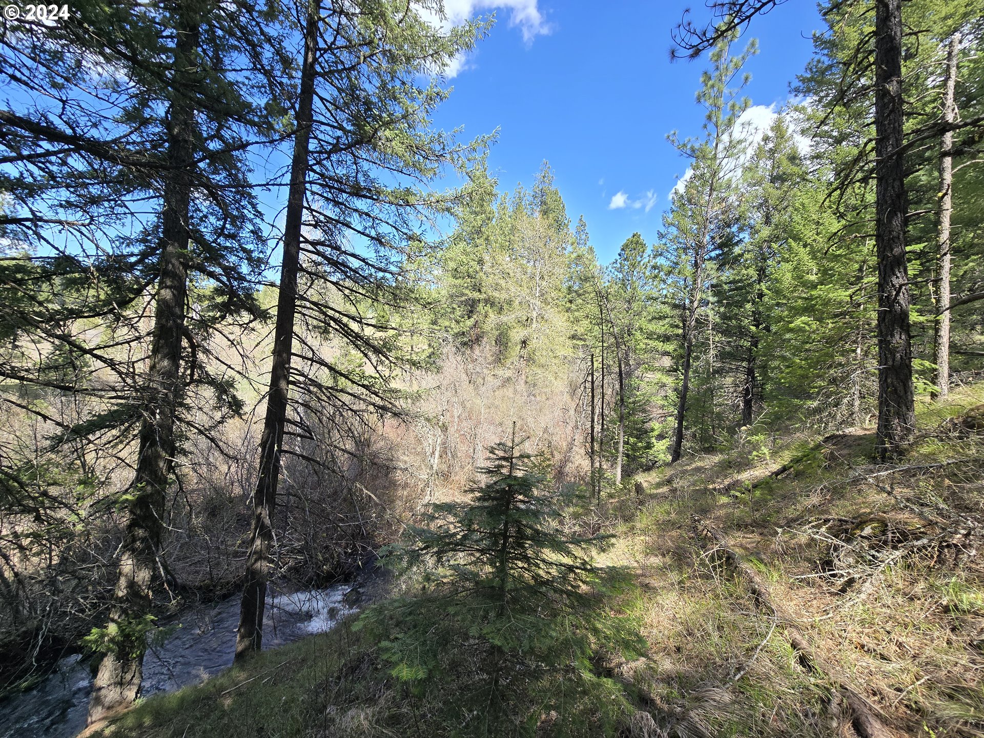 Three Creeks 3