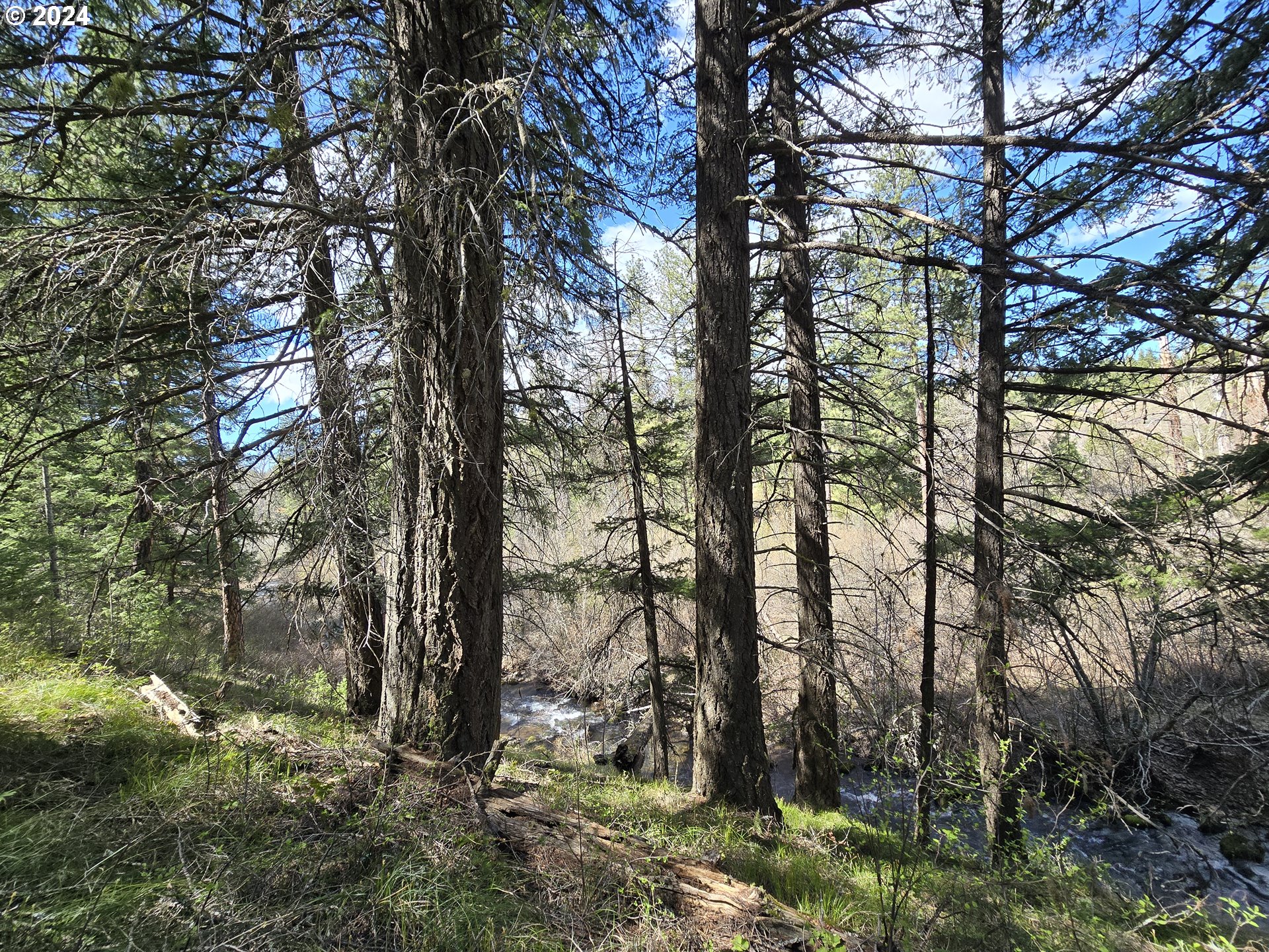 Three Creeks 3