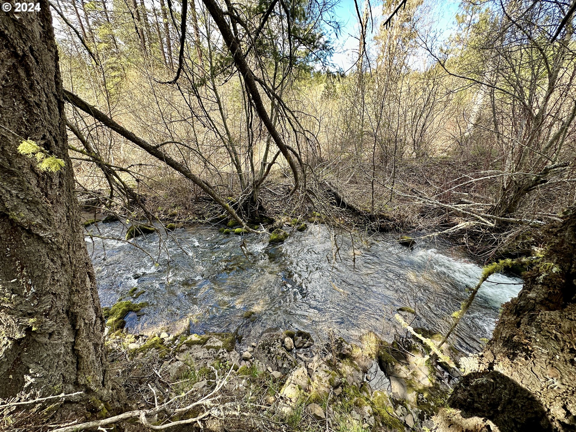 Three Creeks 3