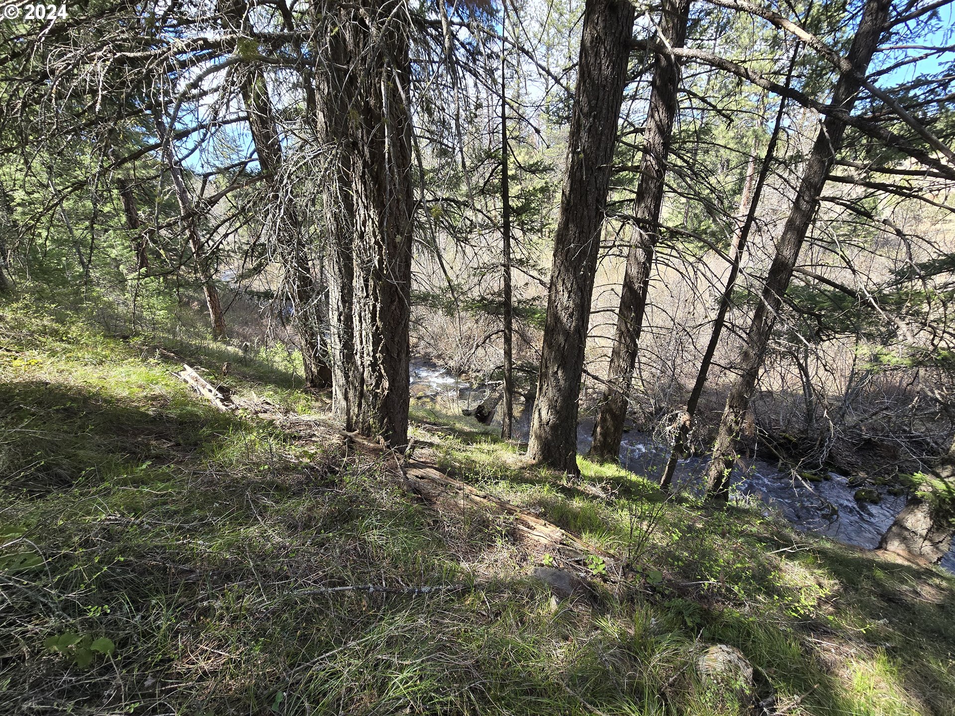Three Creeks 3