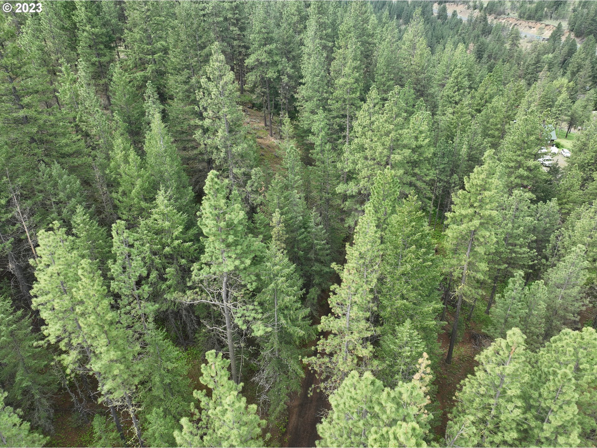 Three Creeks 3