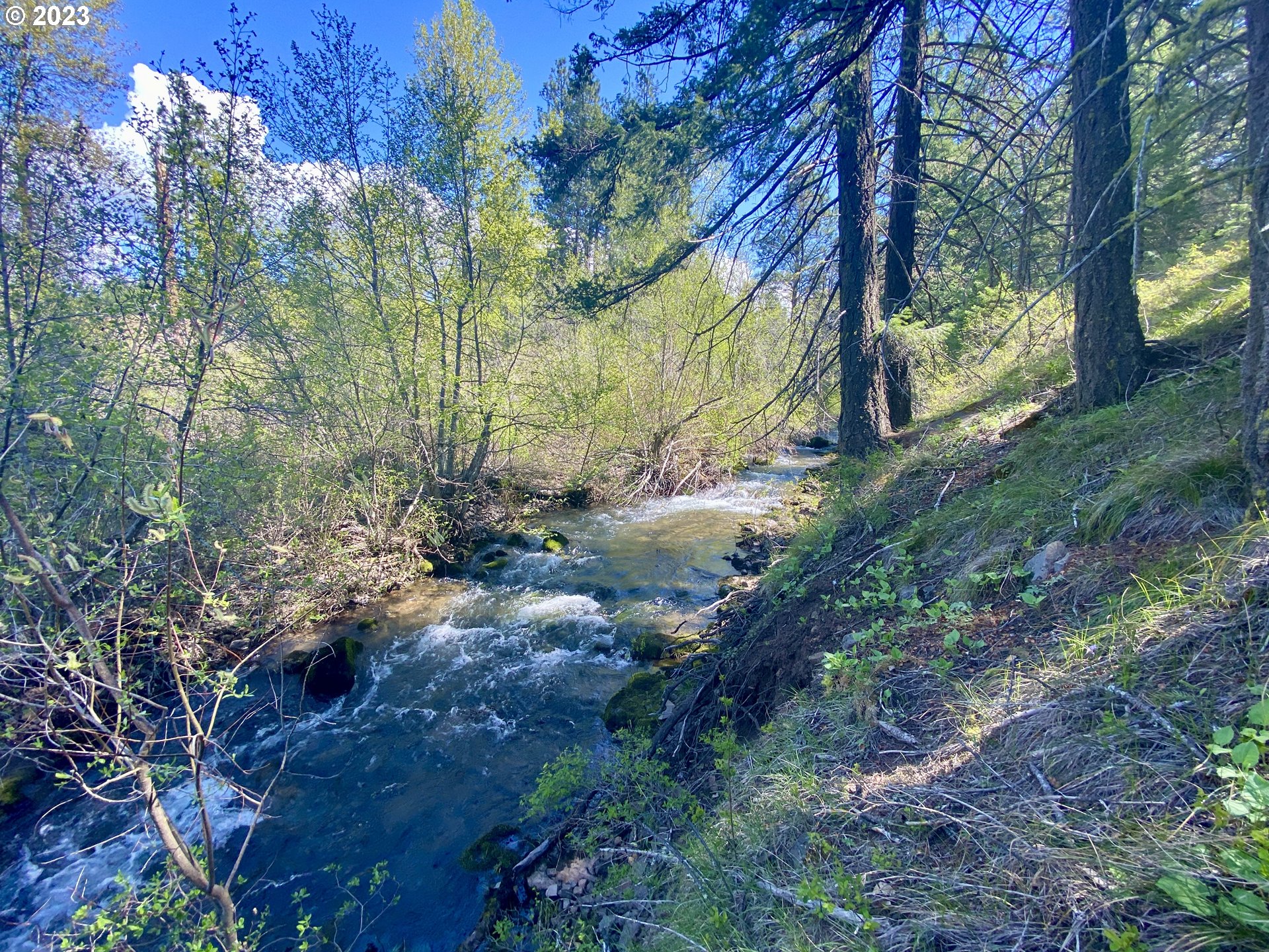 Three Creeks 3