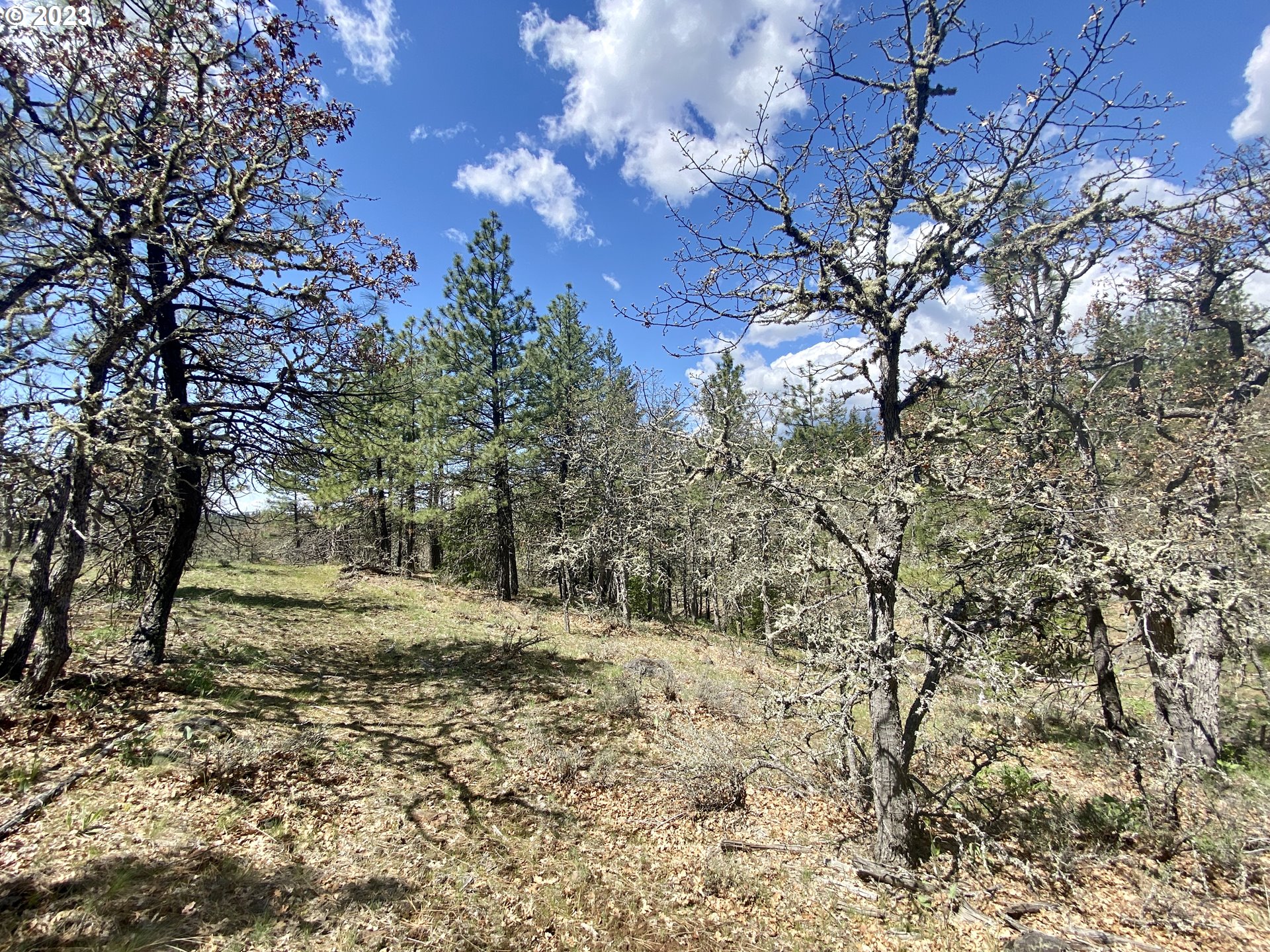 Three Creeks 3
