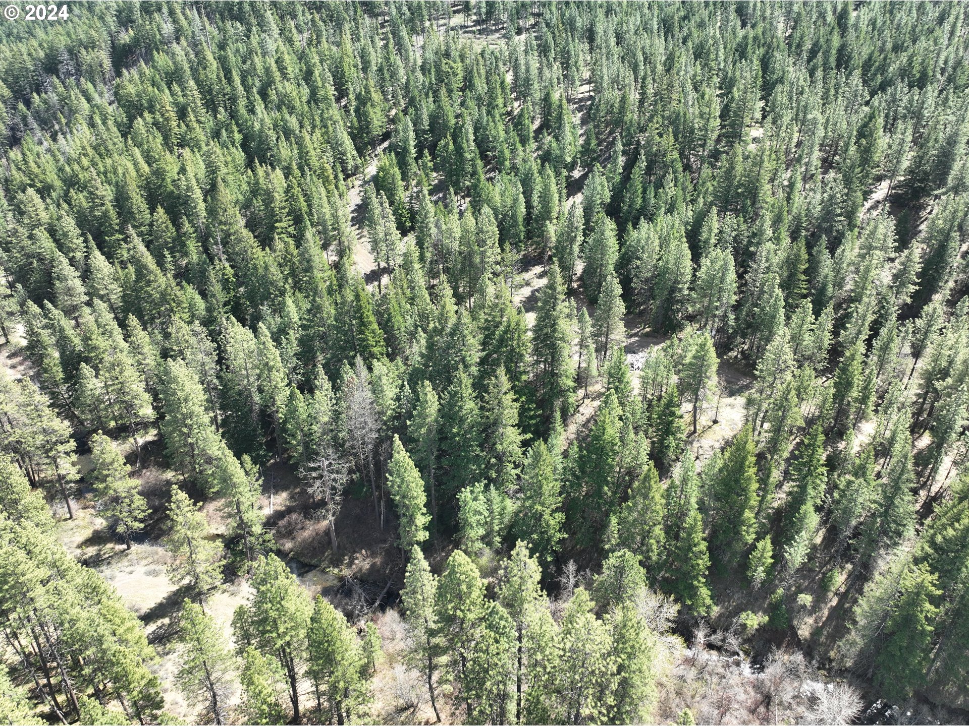 Three Creeks 3