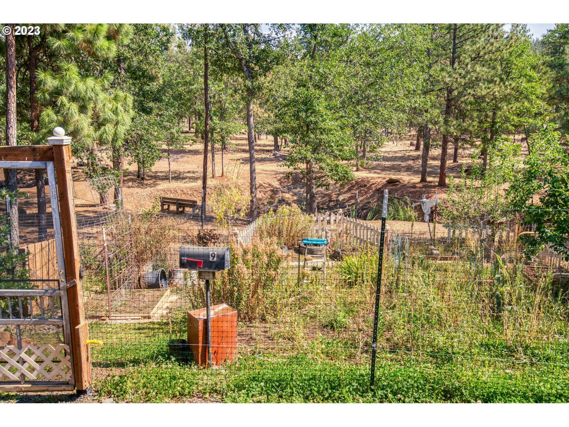 121 PINTO PONY RD