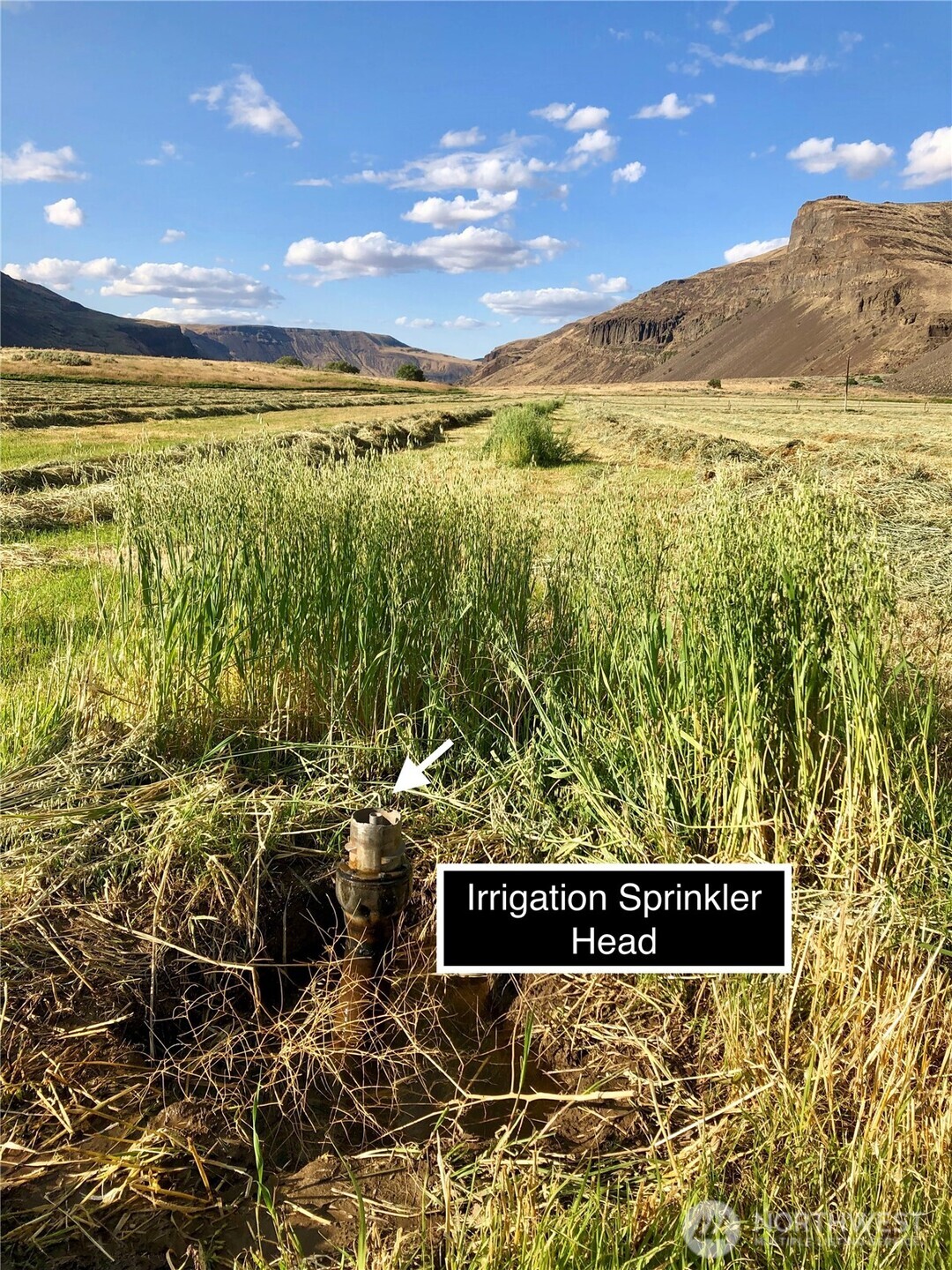 1074 Palisades Rd Lot#3