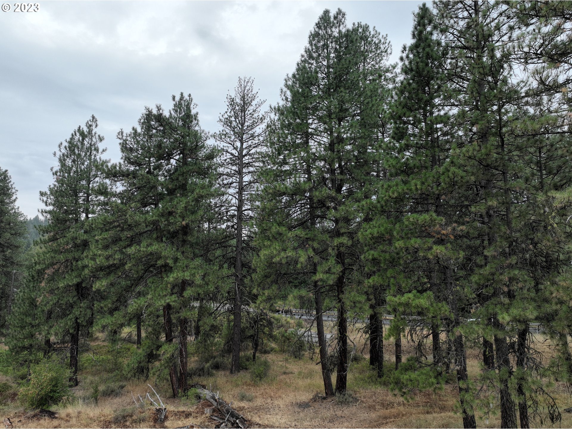 Highway 97 1A