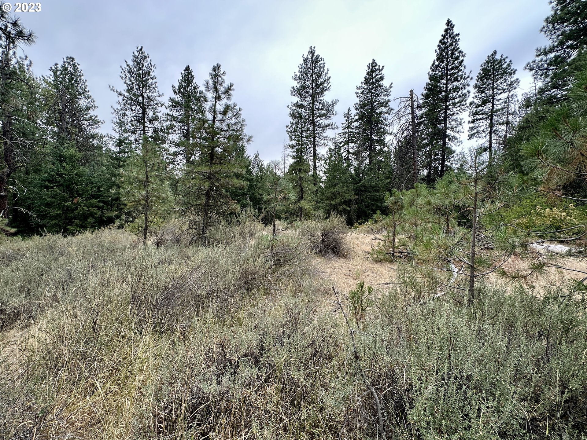 Highway 97 1A