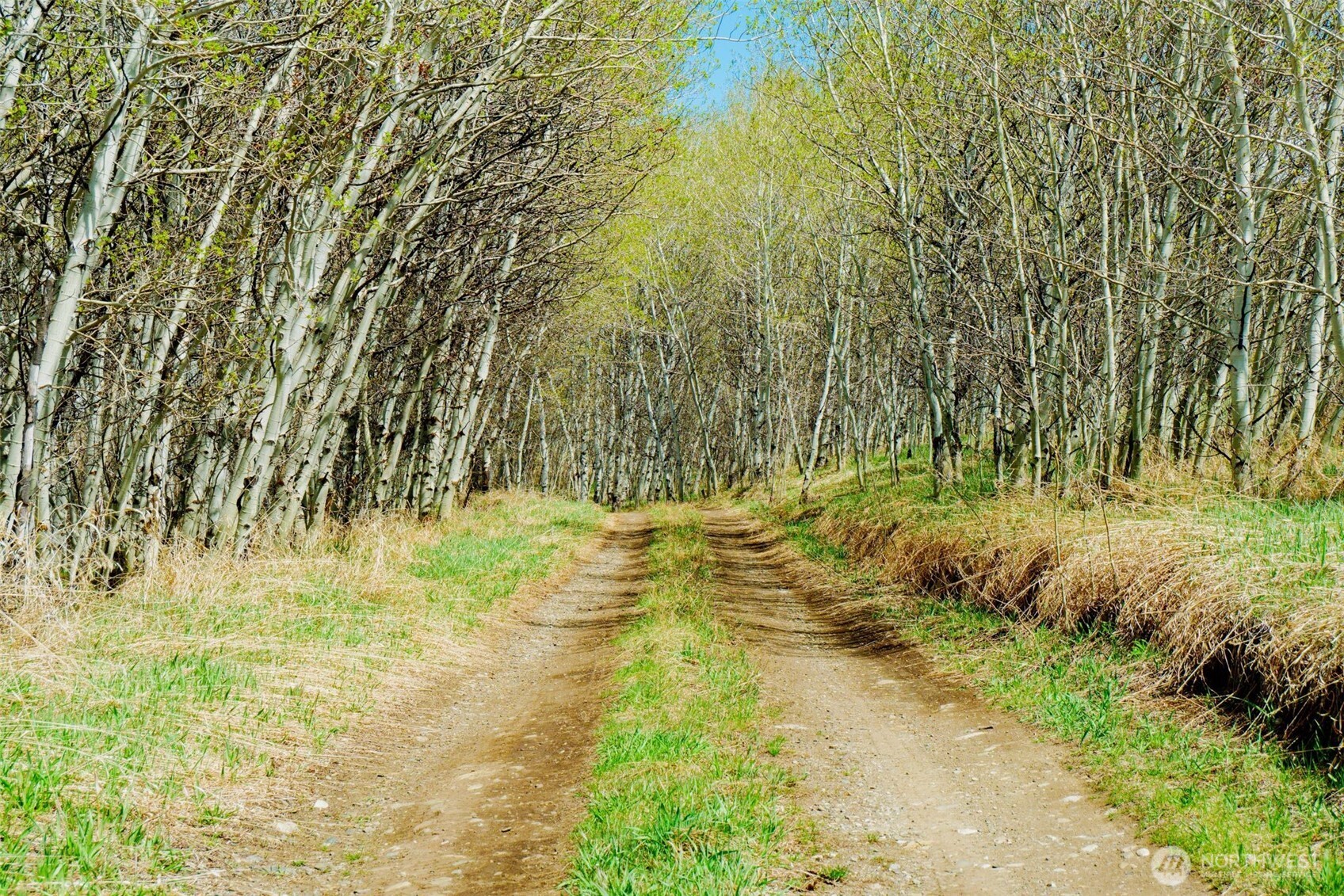 0 TBD Janet Marie Road