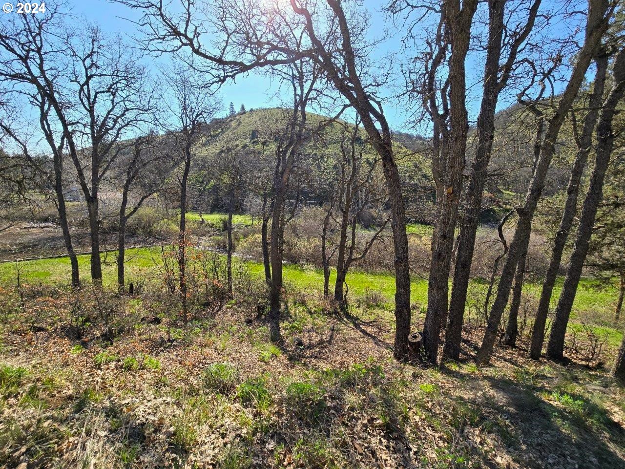 281 Oak Flat RD