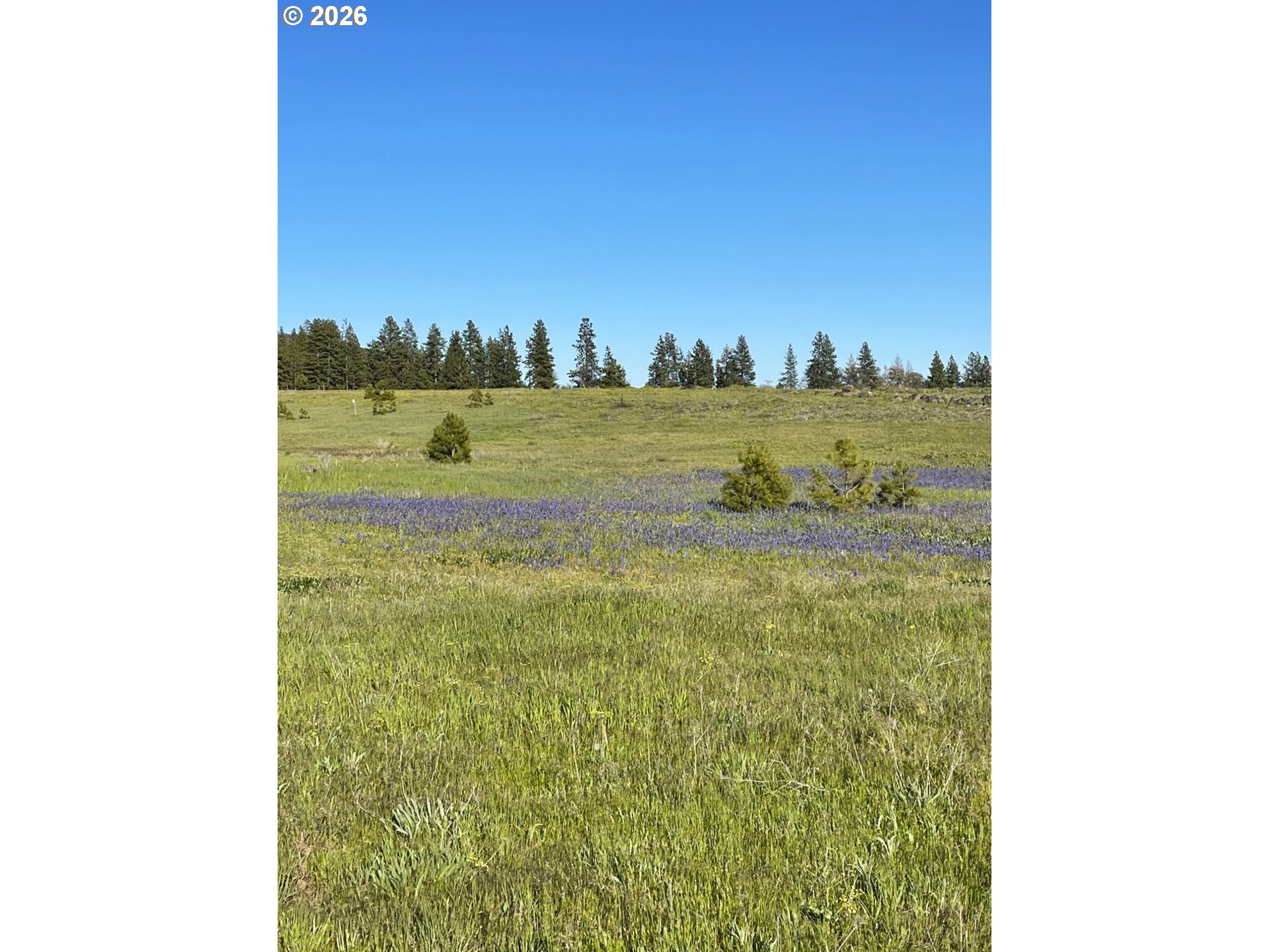 44 Wildhorse Ranch RD