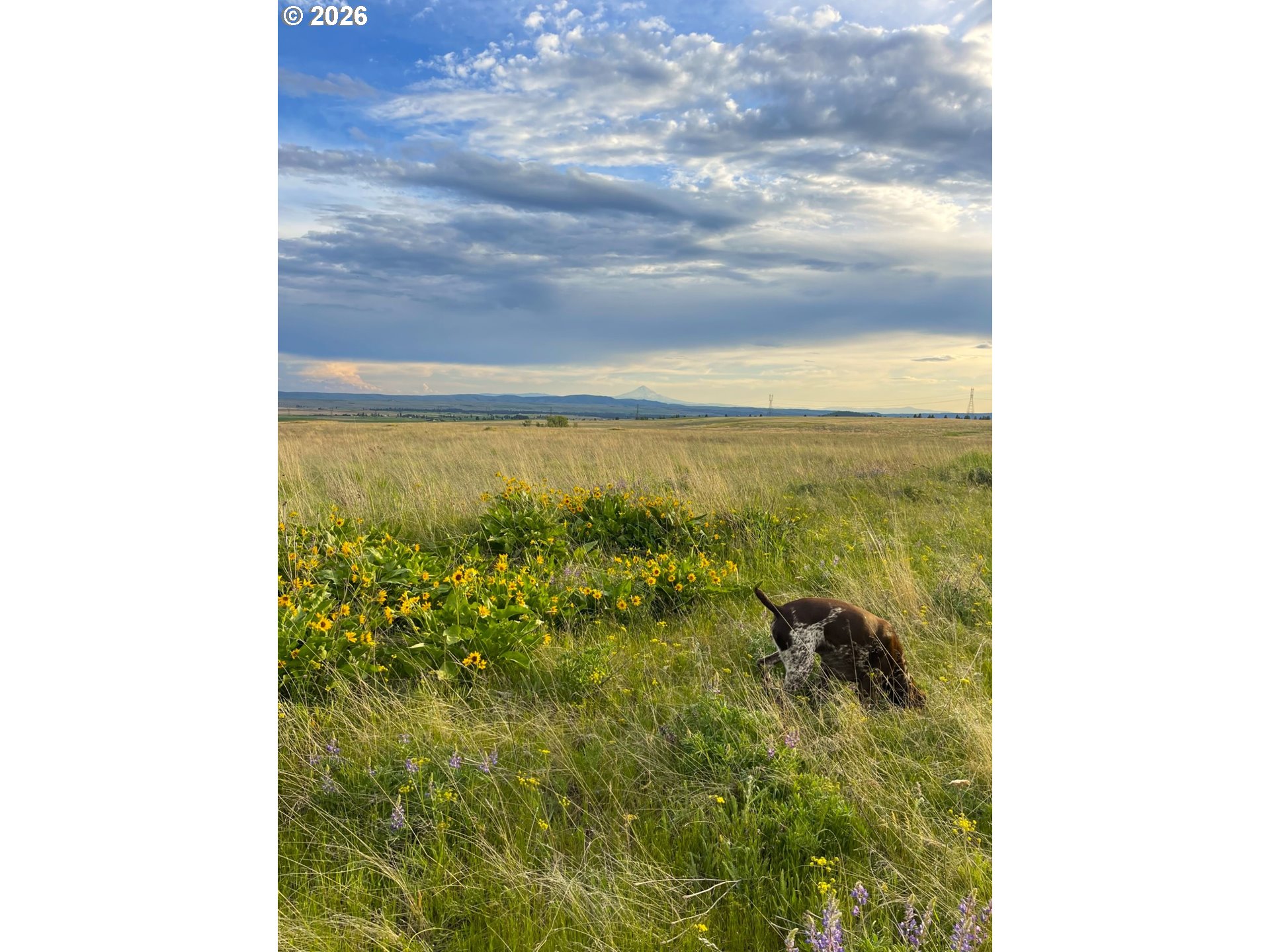 44 Wildhorse Ranch RD