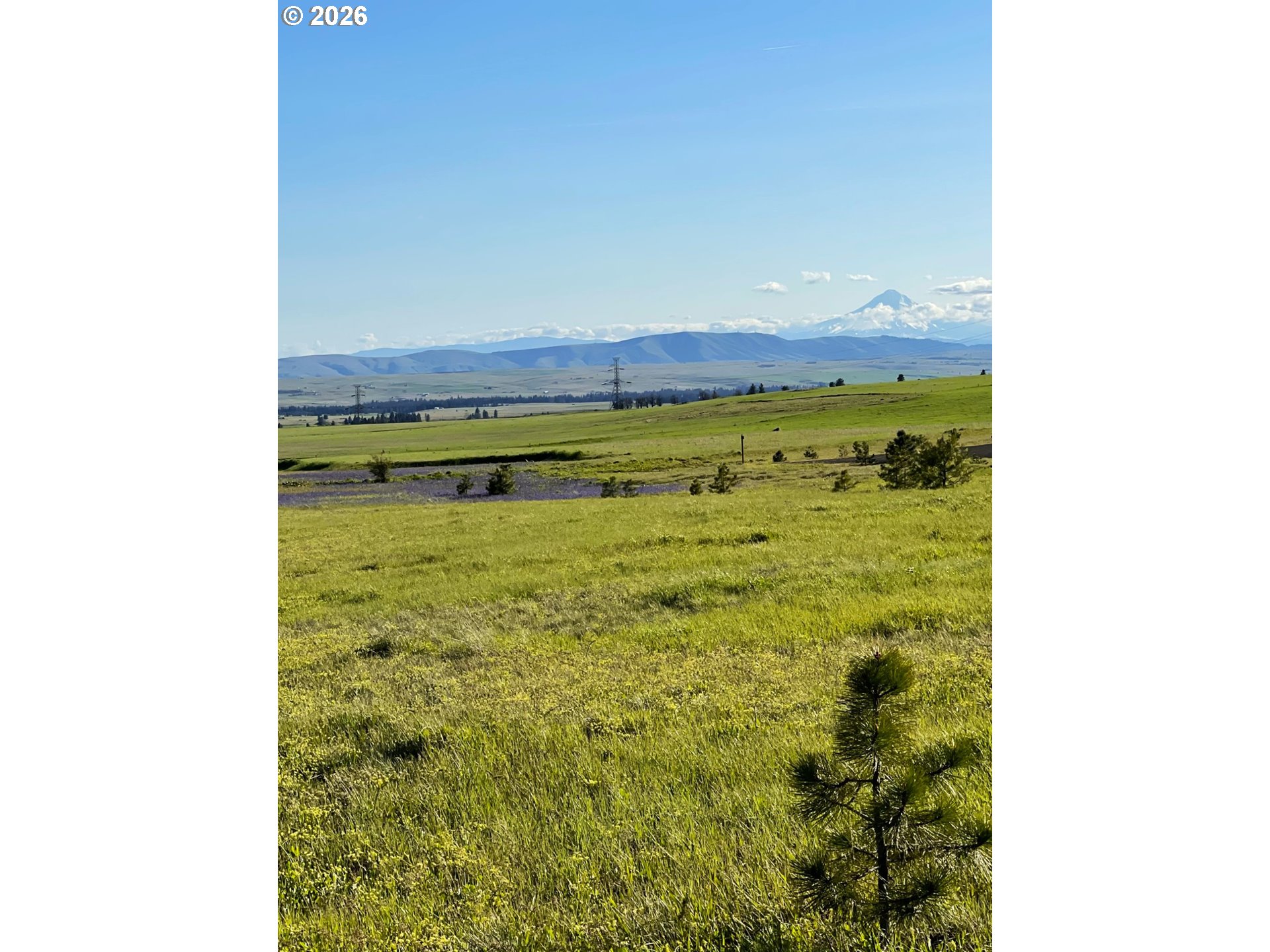 44 Wildhorse Ranch RD