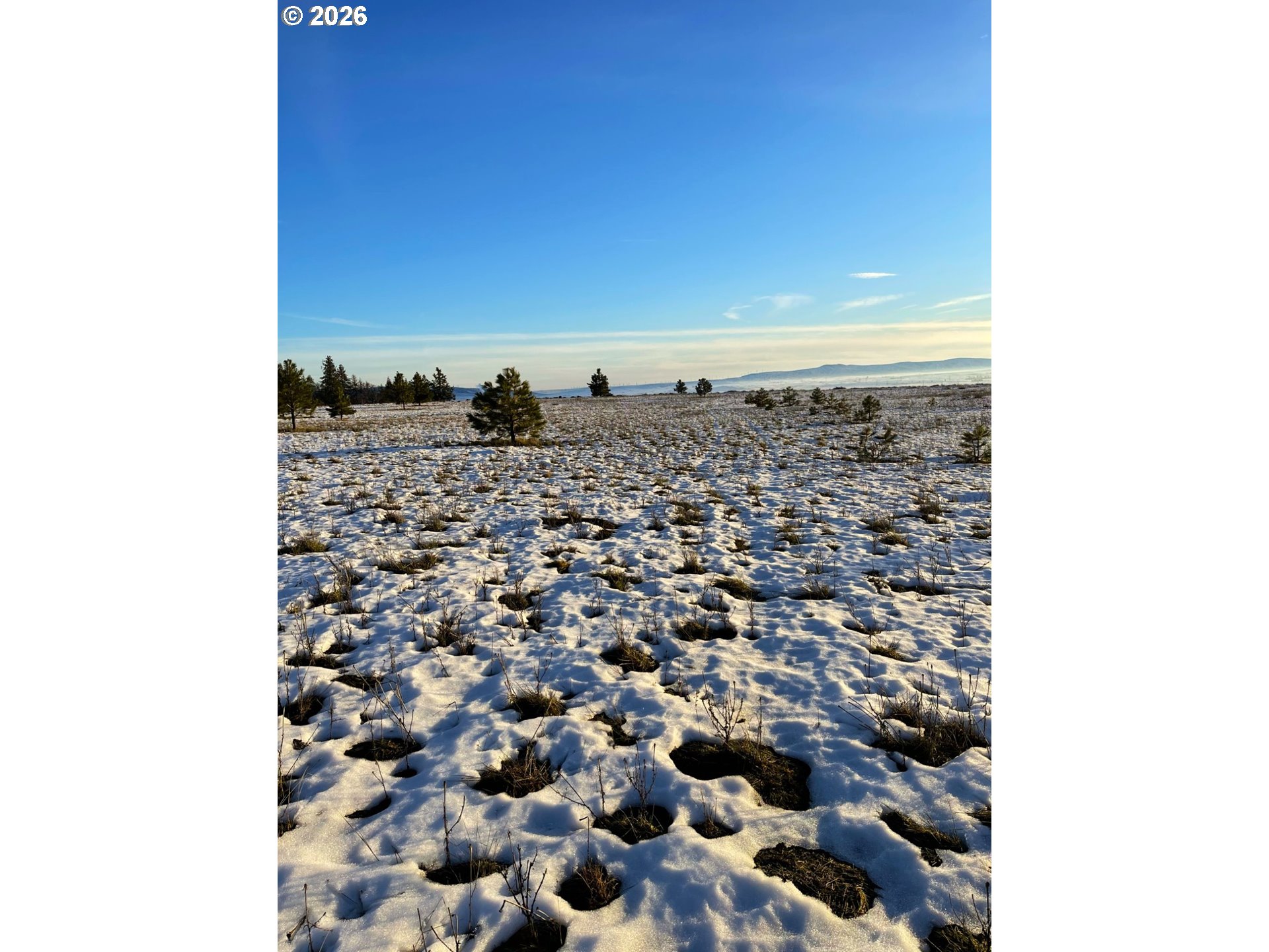 44 Wildhorse Ranch RD