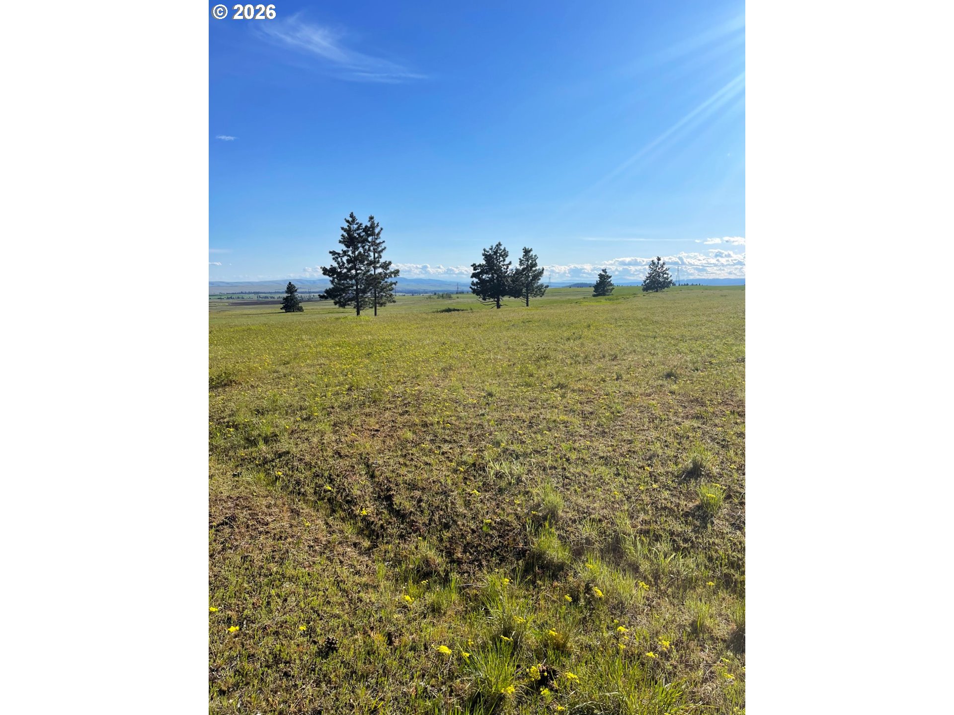 44 Wildhorse Ranch RD