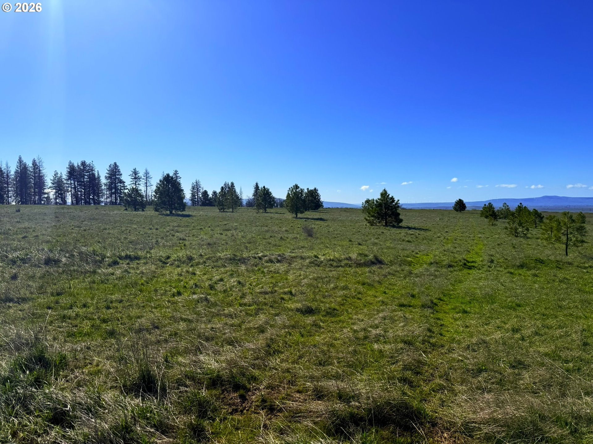 44 Wildhorse Ranch RD