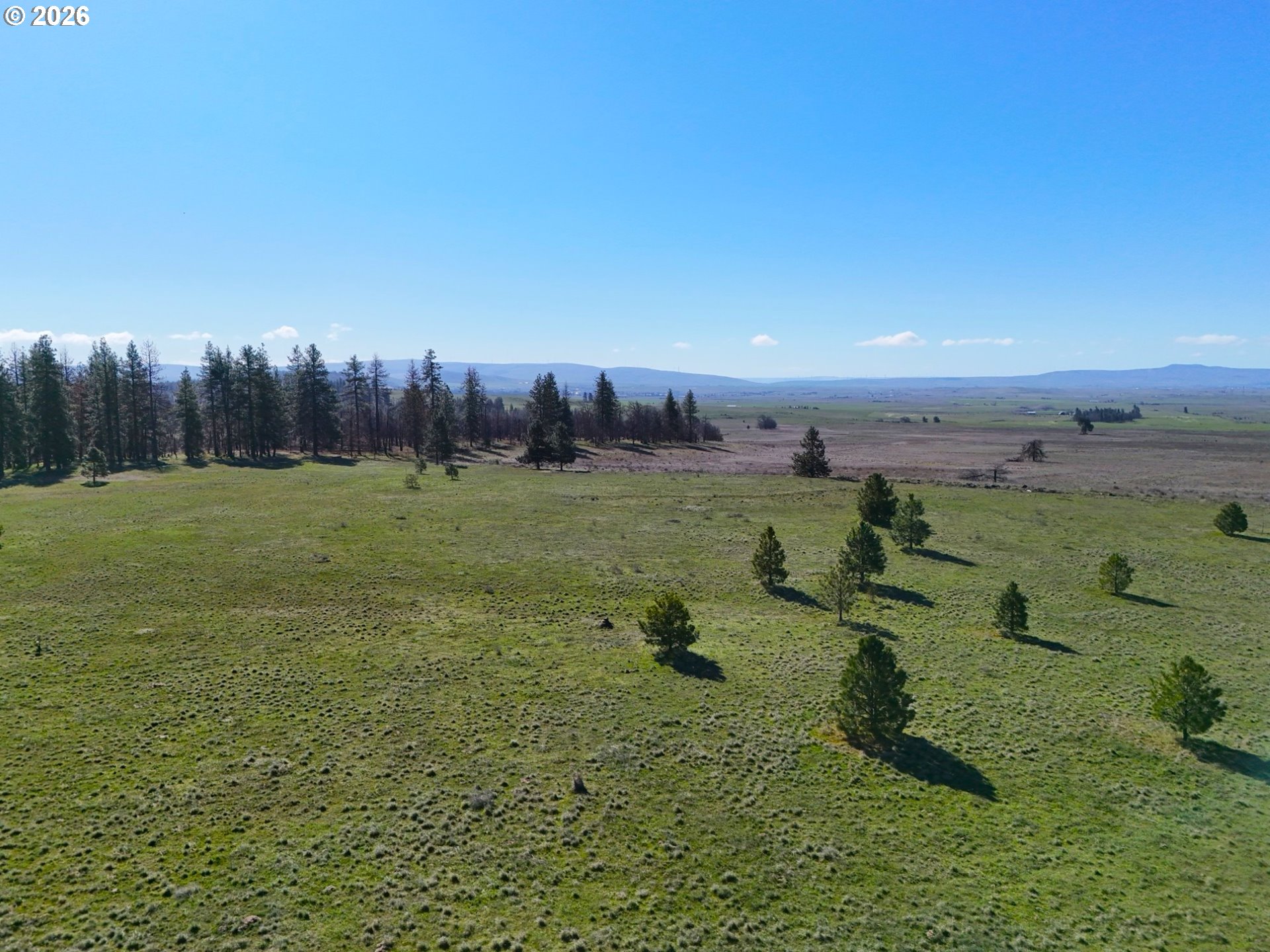 44 Wildhorse Ranch RD