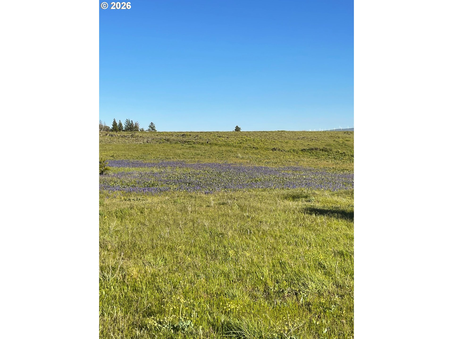 44 Wildhorse Ranch RD